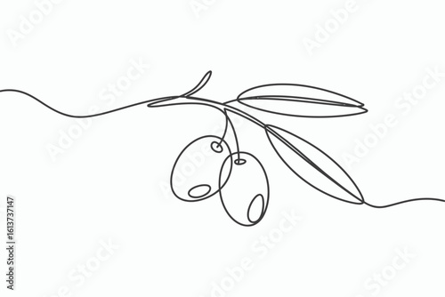 Minimalist line art of olives on a branch isolated on white background