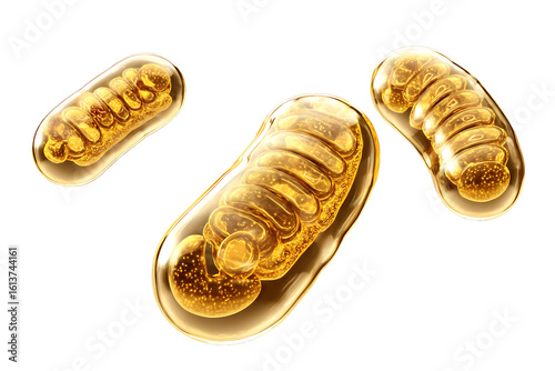 Transparent golden mitochondria, 3d rendering.