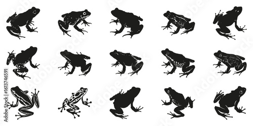 Silhouette Frog Illustrations Set. Amphibian Diversity And Nature Art Collection. Isolated Vector Illustration