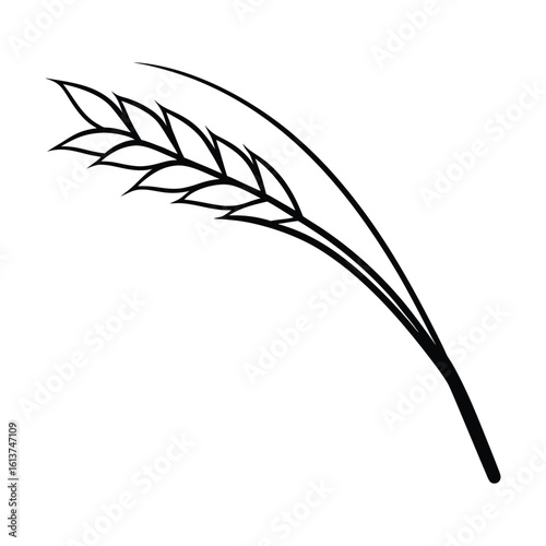 vector illustration of wheat ears