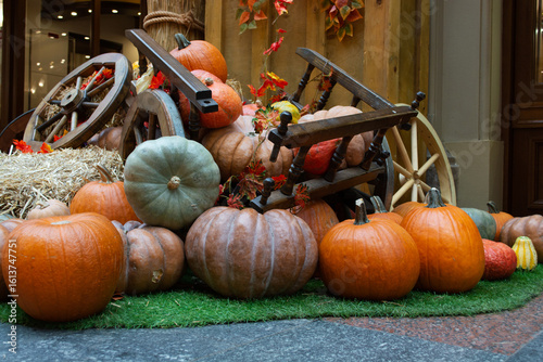 Large orange pumpkins devastated a rustic cart. Big harvest concept, thanksgiving, halloween with space for text.
