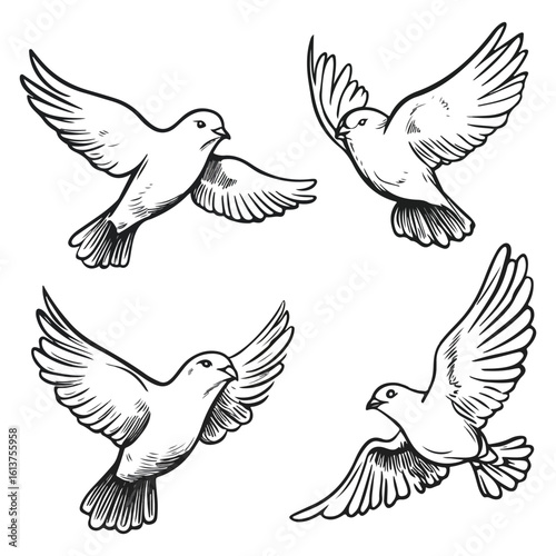 Set of four flying doves birds sketch vector illustration good for logo or decoration element religious Christian or catholic symbols of peace hope and purity
