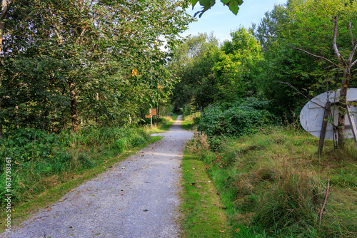 Hiking path and trees in Bavarian Forest National Park Falkenstein near Ludwigsthal (Lindberg), Germany