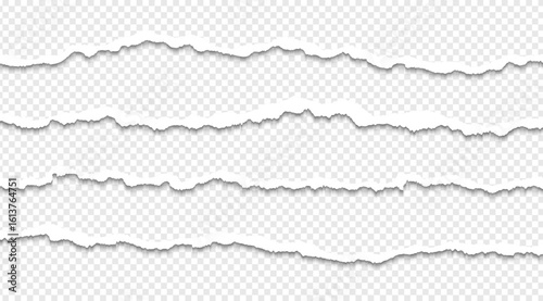 Ripped paper strips with rough torn edges