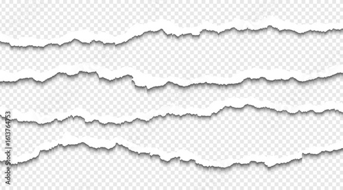Ripped paper strips with rough torn edges