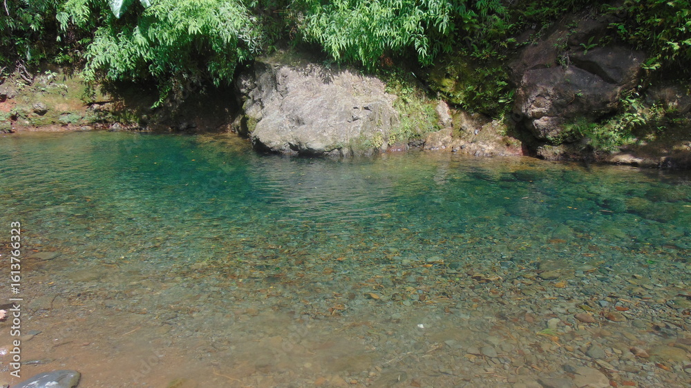 Naklejka premium Un petit lac dans la forêt tropicale