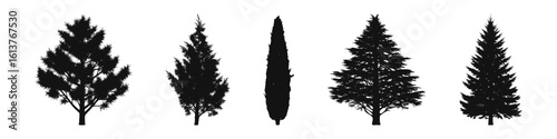 Conifer Tree Silhouettes Collection— Pine, Fir, Spruce, Cedar, Larch. Different Detailed Pine Tree.