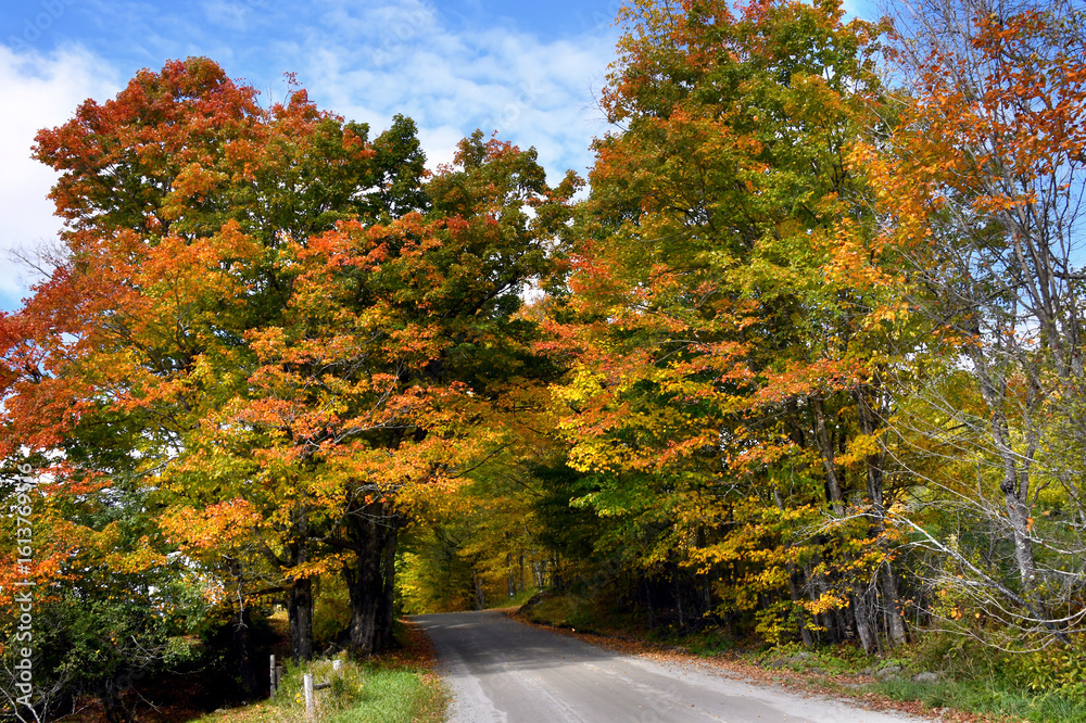 Naklejka premium Autumn Day on Vermont Backroad