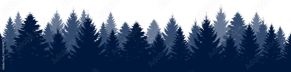 Obraz premium Pine trees forest silhouette. Evergreen coniferous silhouette, nature spruce tree park view.