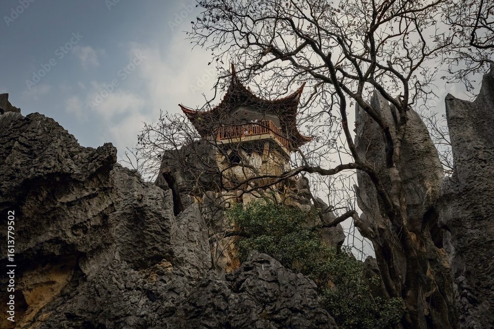 Fototapeta premium Shilin Stone Forest in Yunnan province China