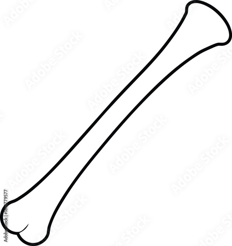 wooden stick on white background