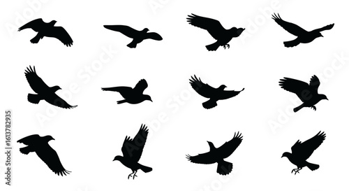 Set of flying bird silhouettes. Black vector icons of birds in different flight positions.