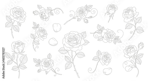 Elegant floral icon set featuring roses, vines, and leaves in a delicate line art style.
