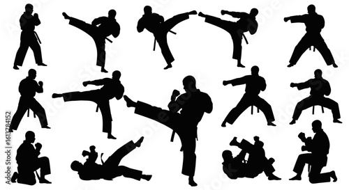 Collection of martial arts fighter silhouettes in various combat poses and action stances.