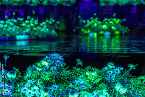 Parc de la Tête d' Or à Lyon pour la Fête des Lumières , Lyon , Rhône, FRANCE