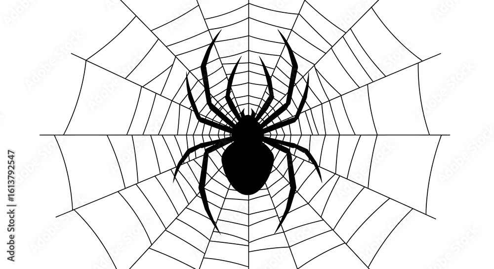 Fototapeta premium spider on web