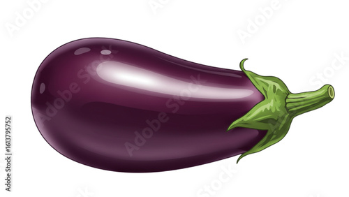 Fresh eggplant illustration for recipes, menus and healthy eating promotional resources, vibrant and detailed