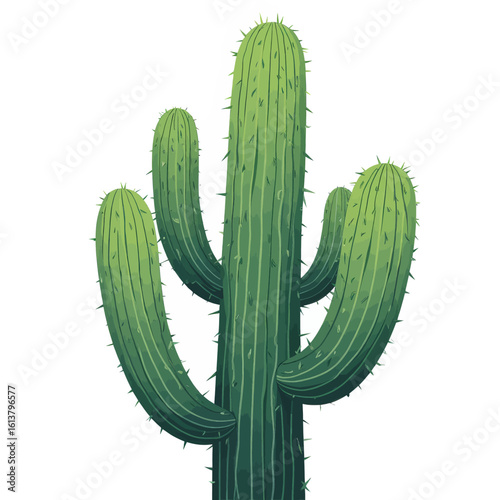 Green Spiky Cactus with Transparent Background, 3D Realism Graphic for Web Design