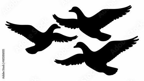 Silhouette illustration of three ducks flying together in a v formation against a white background
