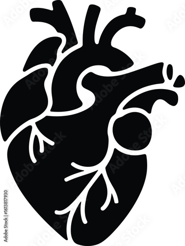 Anatomical Heart Silhouette – Human Organ Medical Vector Illustration