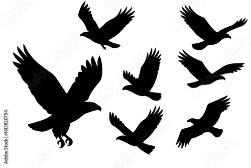 eagle flying group silhoutte