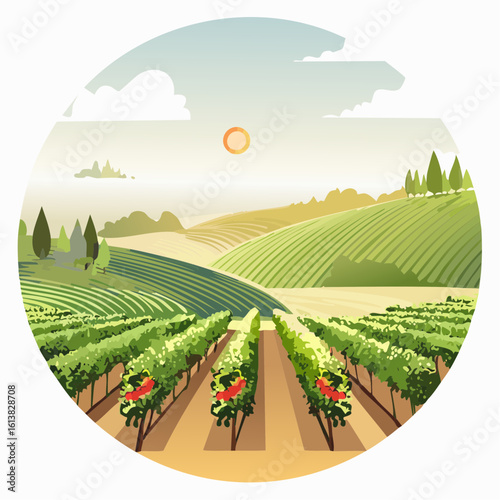 Sunny Vineyard Landscape with Rolling Hills