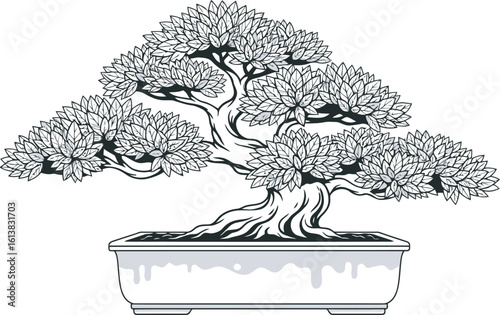 A meticulously detailed line drawing of a bonsai tree, showcasing its intricate branches, leaves, and the rectangular pot it resides in.