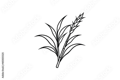 Elegant Wheat Stalk with Leaves Illustration in Black and White Silhouette Style silhouette simple wheat stalk
