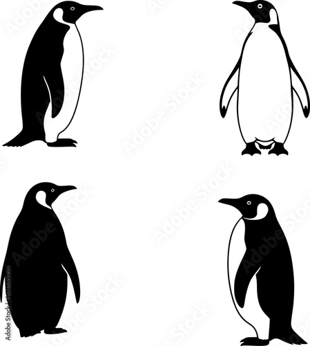 Penguin vector illustration set antarctic bird graphic silhouette collection