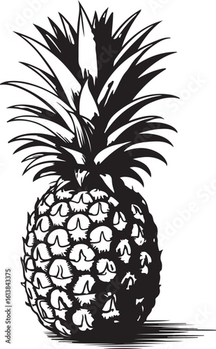 Colorful Botanical Pineapple – Hand Sketch with Natural Details