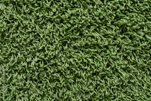 Photography High-resolution image of a soft, green shag carpet texture