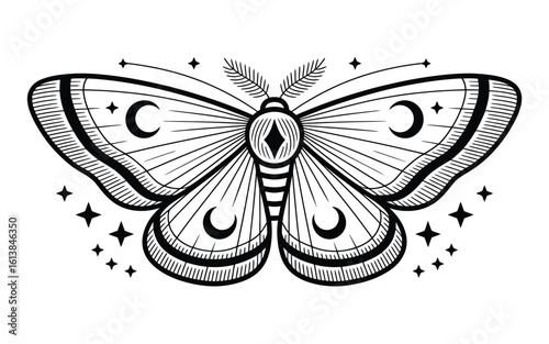 Celestial Moth with Moon and Stars Design night