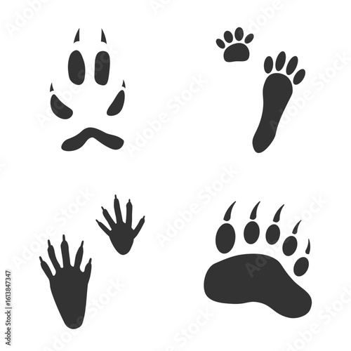 Footprints of  Animal, Traces of a Hare, Bear, Fox, Raccoon on white background.  Silhouette animal tracks in gray. Paw Print for your  design. Vector illustration. EPS10.