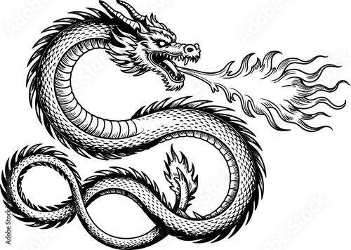 Black and White Dragon Breathing Fire Illustration