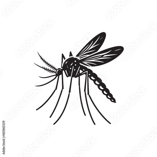 Mosquito Vector (3).eps