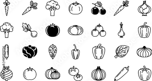 Set of vegetables Concept Thin Line Silhouette vector icons