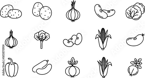 Set of vegetables Concept Thin Line Silhouette vector icons