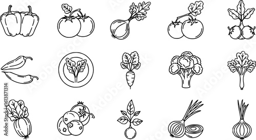 Set of vegetables Concept Thin Line Silhouette vector icons