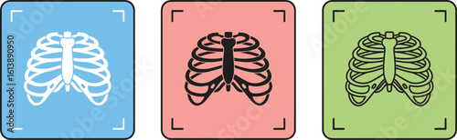 Rib cage anatomy diagram human skeleton medical illustration