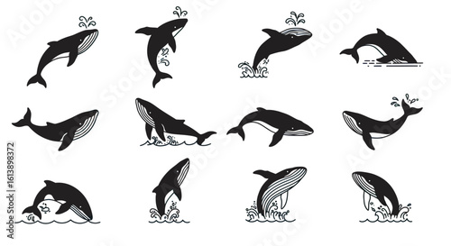 Collection of Stylized Black Whales and Dolphins in Dynamic Ocean Poses