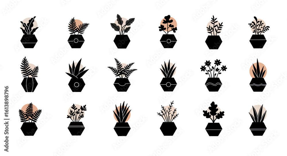 Fototapeta premium Collection of Black Geometric Potted Plants with Various Foliage and Shapes
