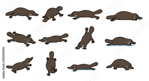 Cute cartoon platypus characters in various poses, featuring brown fur, duck bills, and webbed feet.