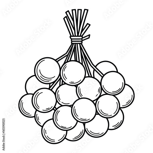 Bunch of round objects tied together with string illustration vector
