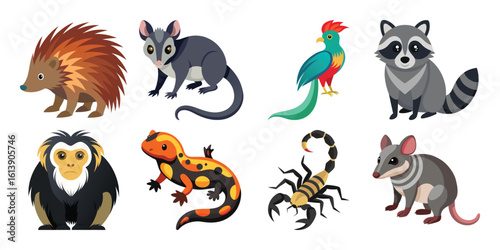 A Vector Vibrant Flat-Style Illustrations of Eight Diverse Tropical Animals:  Monkey, Porcupine, Opossum, Resplendent Quetzal, Raccoon, Salamander, Scorpion, and Mouse.