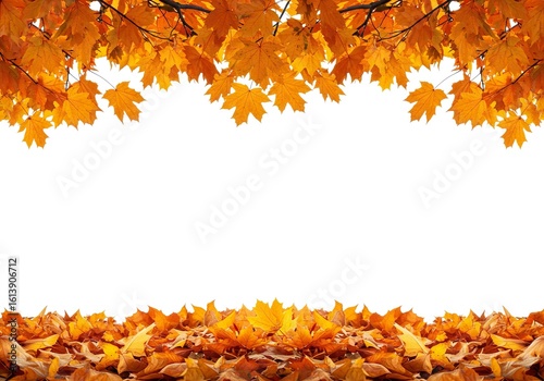 Autumn maple leaves frame a blank white background with a leaf pile