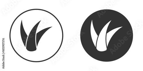 Aloe vera icon