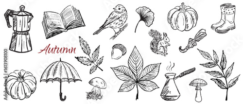 Set of cozy autumn symbols coffee, book, bird, falling leaves, rubber boots, mushrooms, pumpkin in black brush stroke texture on white. Hand drawn vector sketch illustration in vintage charcoal ink