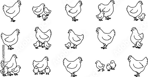 Chicken silhouettes set, large pack of vector silhouette design, isolated white background