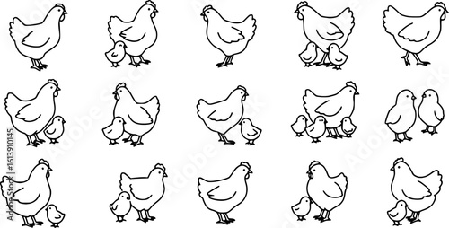 Chicken silhouettes set, large pack of vector silhouette design, isolated white background