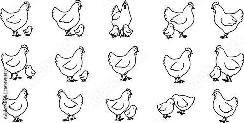 Chicken silhouettes set, large pack of vector silhouette design, isolated white background